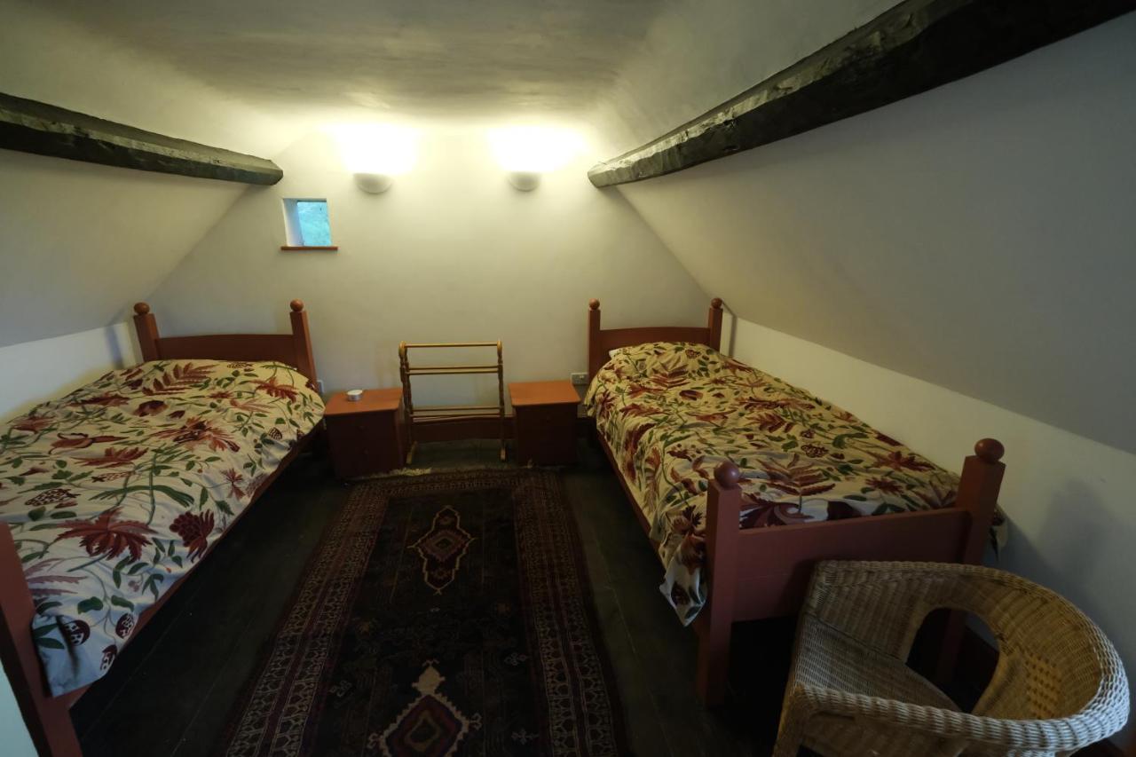Chestnut Homestay *